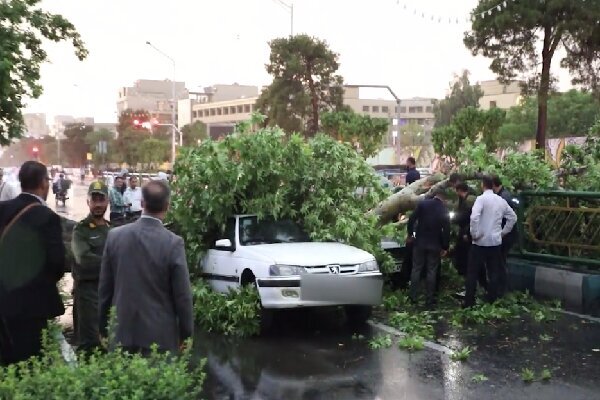 خسارت ناشی از توفان را کجا و چگونه دریافت کنیم؟