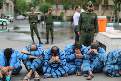 انهدام شبکه شرط‌بندی مبارزات زیرزمینی در دماوند؛دستگیری ۱۰ تبعه بیگانه