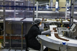 نهادهای دولتی به نقش بخش خصوصی احترام بگذارند