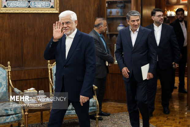 دیدار معاون اول رییس جمهور با وزیر نفت نیجر دیدار معاون اول رییس جمهور با وزیر نفت نیجر