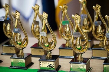 سیرجان میزبان ششمین جشنواره بین المللی فیلم کوتاه دفاع مقدس می شود
