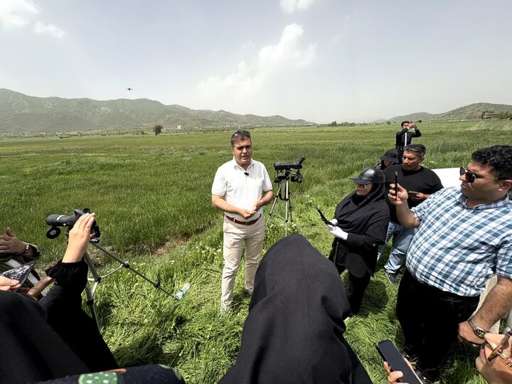 دریاچه زریوار مریوان بهشت پرندگان با ۵۲ درصد تنوع زیستی کشور