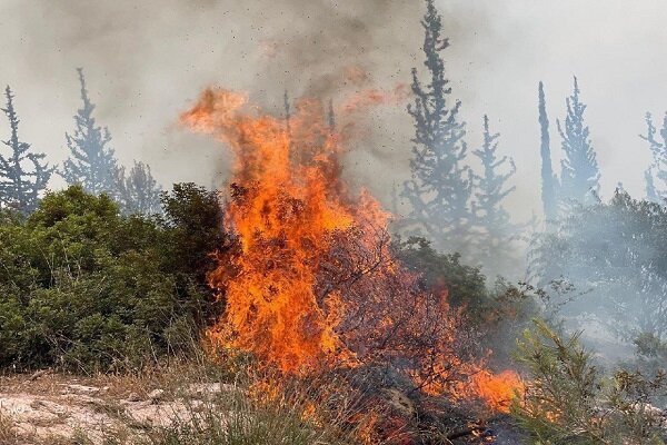 آتش سوزی مجدد در اراضی اشغالی+ فیلم