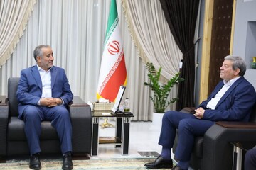 افزایش نرخ معلولیت در خراسان جنوبی