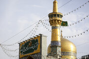نقش امام رضا (ع) در توسعه تشیع و مهدویت