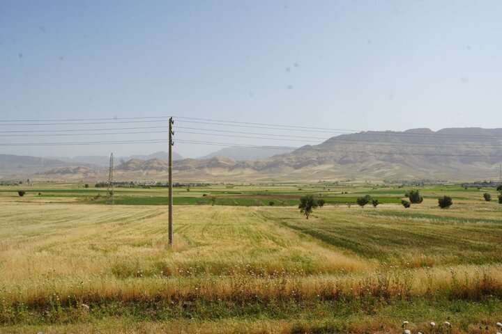 تأکید استاندار کرمانشاه بر تسریع در بهرهبرداری از سامانه گرمسیری