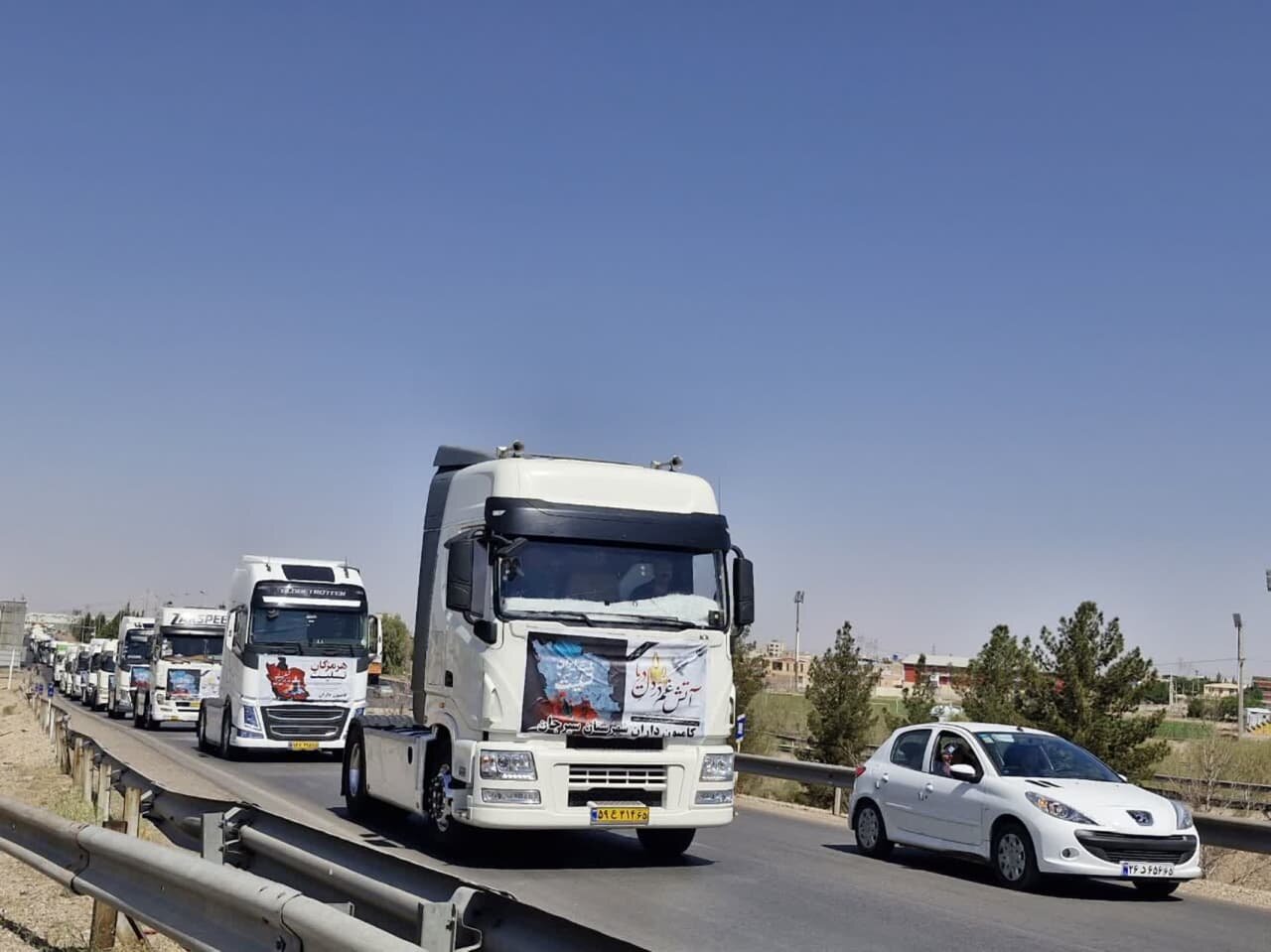 سيرجان،كاميون،باختگان،همدردي،نمادين،همبستگي