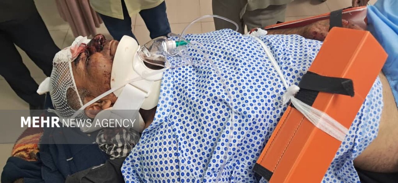 پلنگ وحشی مرد فریدونشهری را از کوه پرت کرد