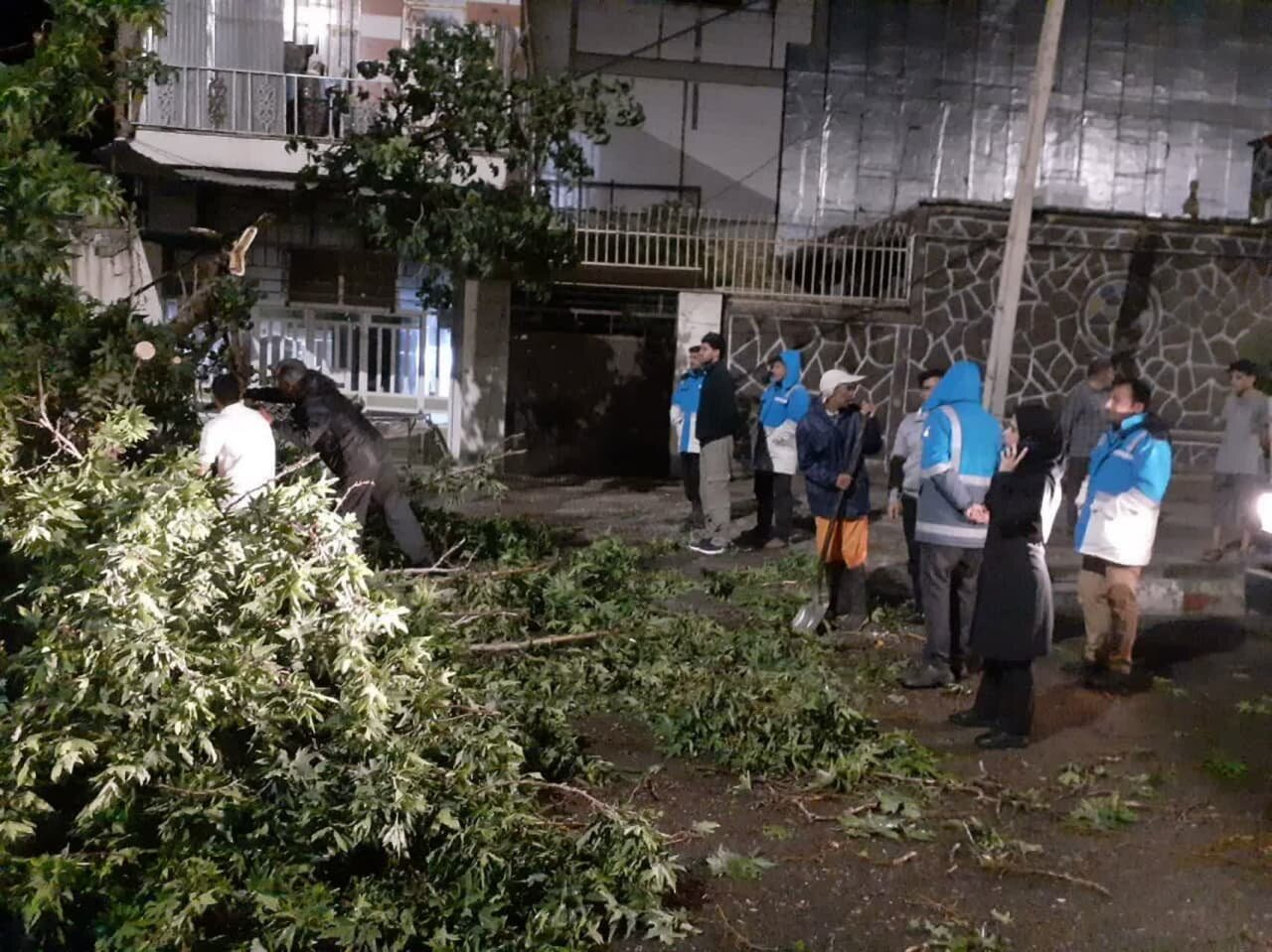 بازدیدشبانه معاون عمرانی فرمانداری صحنه ازعملیات جمعآوری درختان شکسته