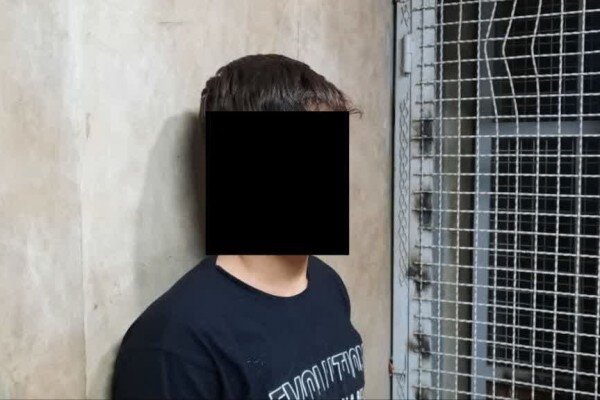 بهارستان،عسكري،نيا،قاتل،مير،قلعه