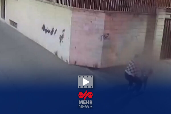 خشني،برده_بود