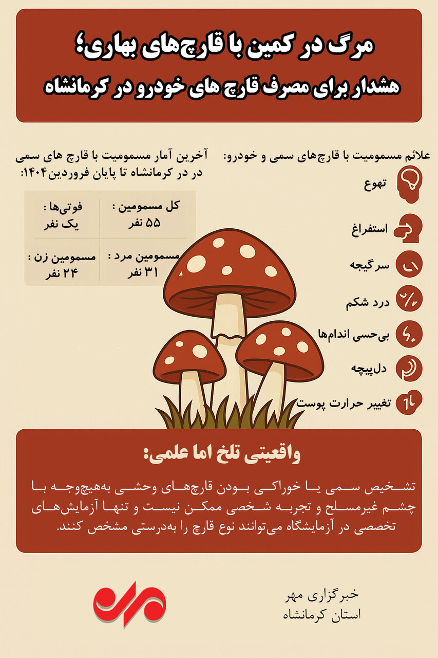 اینفوگرافیک| قارچهای خودرو اما سمی در کرمانشاه