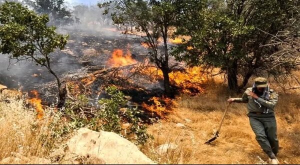 سوزاندن بقایای مزارع بلای جان محیطزیست ایلام