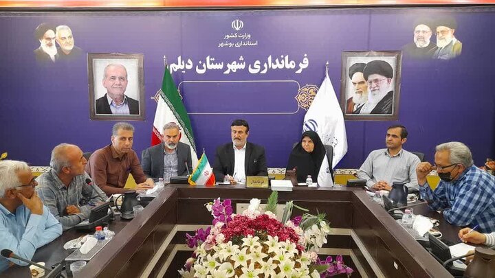 شوراها بازوان توانمند دولت در روستاها هستند