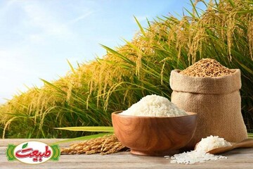 ۱۰ نکته مهم که هنگام خرید برنج نباید فراموش کنید