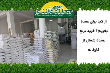 از کجا برنج عمده بخریم؟ خرید برنج عمده شمال از کارخانه
