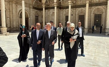 بازدید وزیر میراث‌فرهنگی از مسجد تاریخی محمدعلی