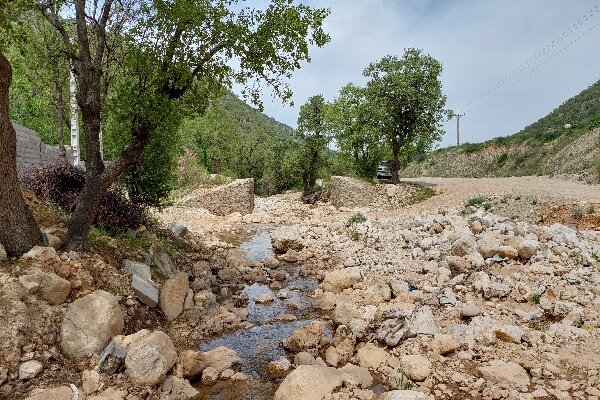 دره خواری در بویراحمد؛ آیا پای افراد با نفوذ در میان است!