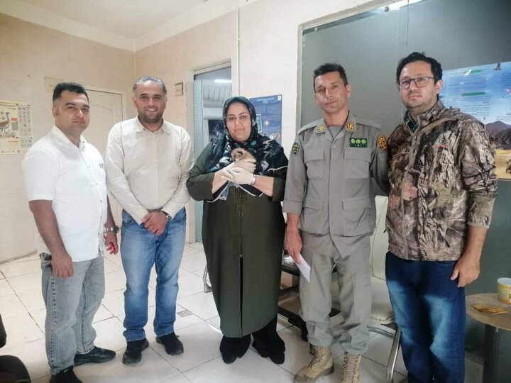 ۸ ماموریت محیط زیستی در شاهرود و دامغان انجام شد