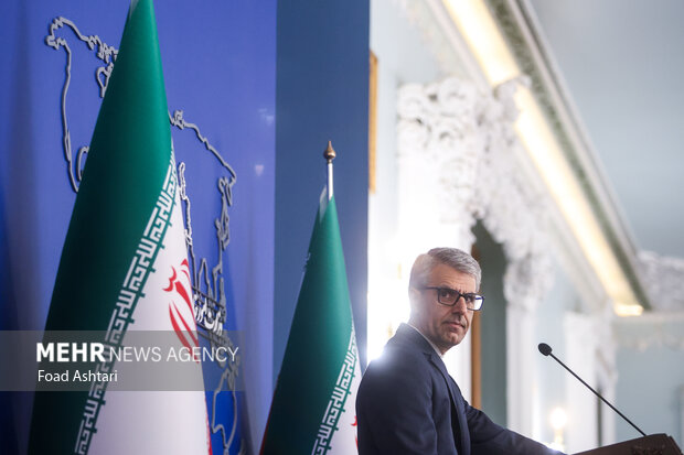 نشست خبری سخنگوی وزارت امور خارجه