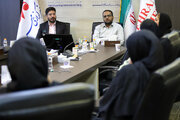 افزایش کیفی انیمیشن برای برخی مدیران مهم نیست؛ معضل چندقطبی بودن دوبله