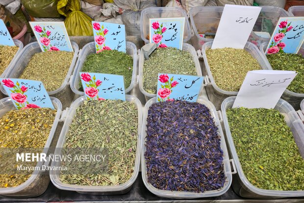بزرگترین نمایشگاه اقوام ایرانی در خراسان شمالی