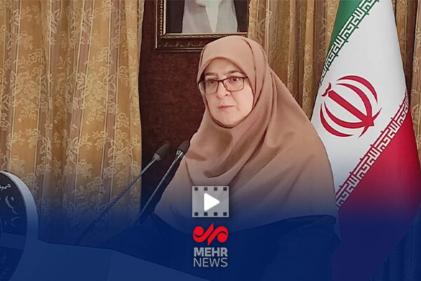 واکنش سخنگوی دولت به استیضاح وزیر راه و نیرو