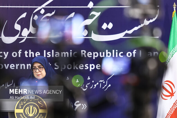 فاطمه مهاجرانی سخنگوی دولت