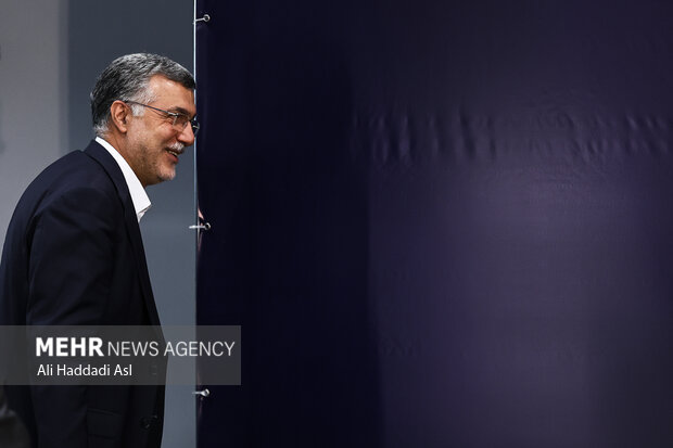 محمدرضا ظفرقندی وزیر بهداشت و آموزش پزشکی در نشست خبری سخنگوی دولت