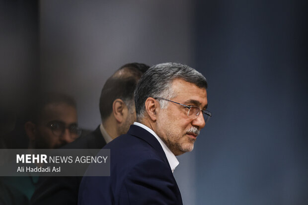 محمدرضا ظفرقندی وزیر بهداشت و آموزش پزشکی در نشست خبری سخنگوی دولت