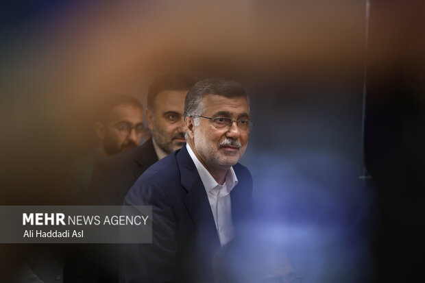 محمدرضا ظفرقندی وزیر بهداشت و آموزش پزشکی در نشست خبری سخنگوی دولت