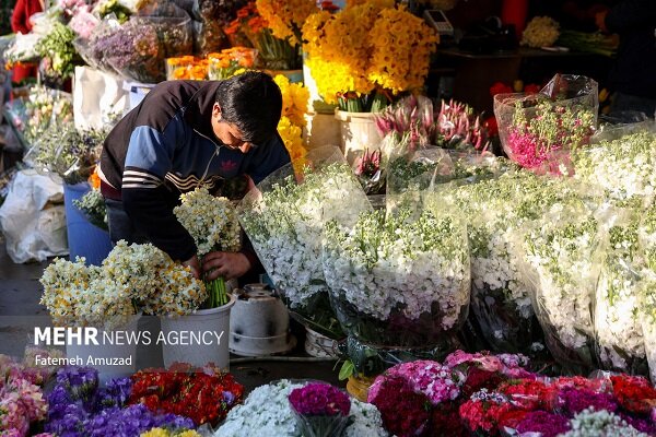 گل،سبز،تهران،فضاي،حوزه،گياه،شهر،ظرفيت،كشور،هكتار،مديرعامل