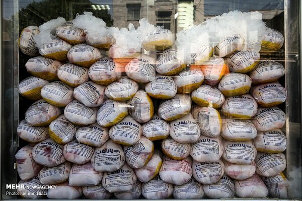 سیر تا پیاز گرانی مرغ در سیستان و بلوچستان؛ مشکل کجاست؟