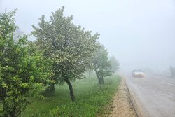 مه گرفتگی در ارتفاعات بجنورد