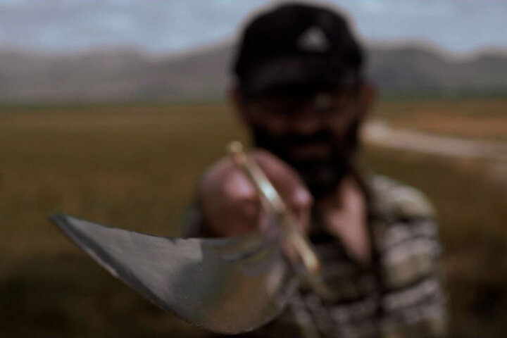 چرا کارگران یک کارخانه، خر یکی از روستاییان زنجانی را خوردند!