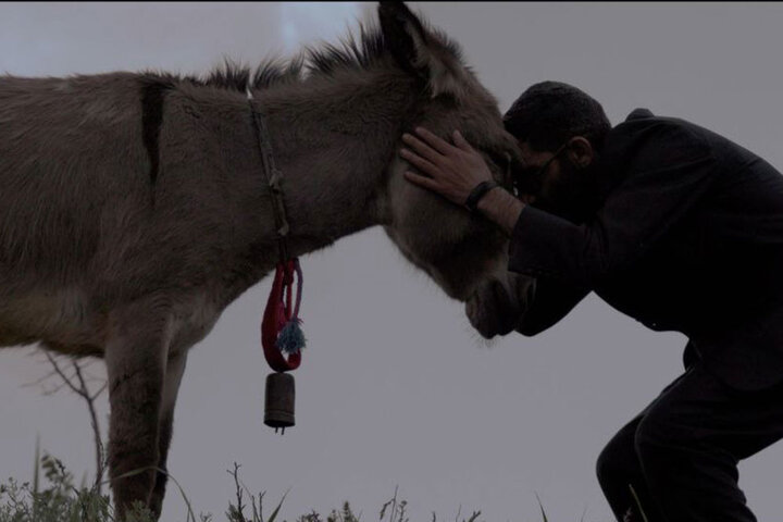 چرا کارگران کارخانه، خر یکی از روستاییان زنجانی را خوردند!