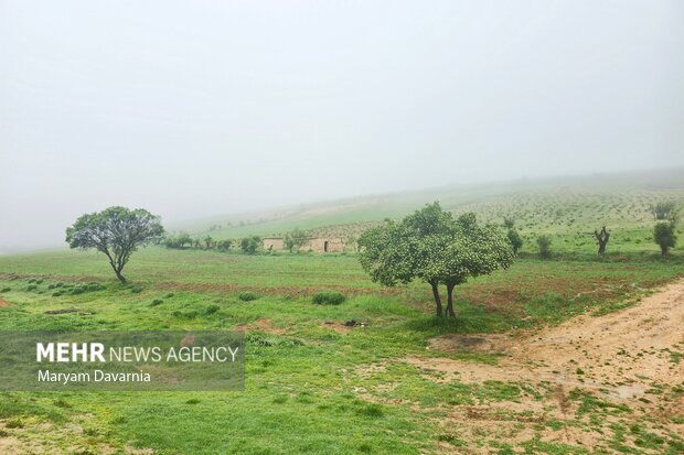 مه گرفتگی در ارتفاعات بجنورد