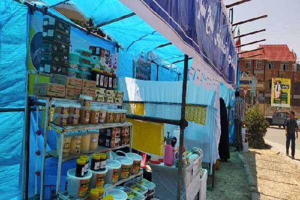 بسیج سازندگی کهگیلویه؛ از محرومیت زدایی تاسرمایه گذاری برای تولید