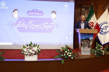 ساماندهی حقوق پرستاران دغدغه دولت است