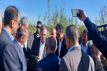 دولت به جبران خسارات بخش کشاورزی آذربایجان غربی کمک کند