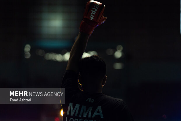 مسابقه قهرمانی MMA کشور