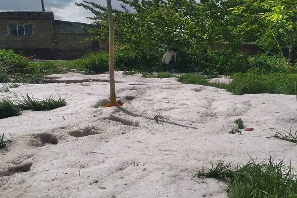 تگرگ ۴ هزار میلیارد تومان به بخش کشاورزی آذربایجان غربی خسارت زد