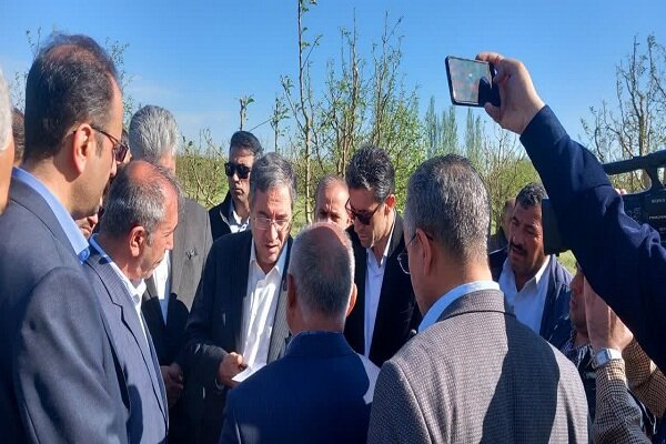 خسارت،باغات،استان،مهاباد،تگرگ،رحماني