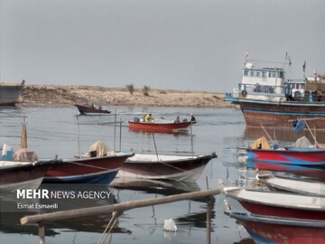 «دریابست» در استان بوشهر؛ ممنوعیت صید برای حفظ ذخائر آبزیان