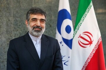 Iran not a sole state enriching uranium without having nukes