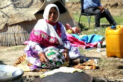 عشایر نقش کلیدی در توسعه پایدار دارند