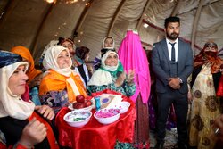جشنواره کوچ عشایر شاهسون مغان