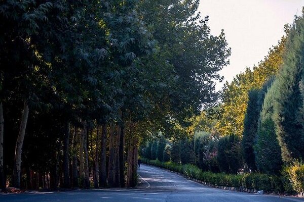 گسترش کمربند سبز پایتخت با ۵ پروژه جدید فضای سبز