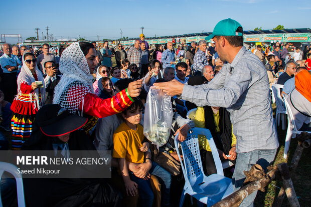 مسابقات کشتی گیله مردی در لنگرود