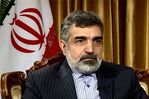 كمالوندي لمجلس الحكام: أي إجراء ضد إيران سيواجه رد فعل في نفس اليوم